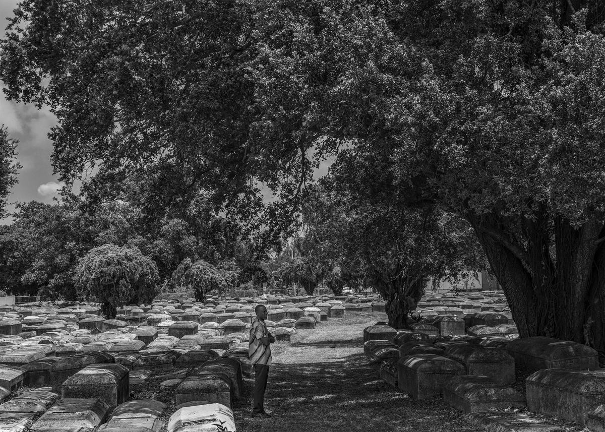 Jessie Wooden stands underneath the shade of one of the many large trees at Lincoln Memorial Park. Wooden says he has spent hundreds of thousands of dollars trying to restore the cemetery. He recently received $500,000 from Miami-Dade County to make further improvements to the landmark.