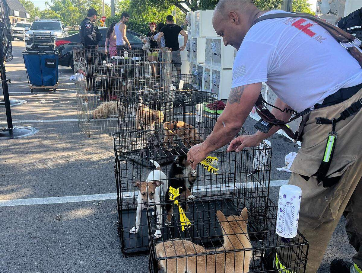 Rescuers removed around 170 puppies from the Forever Love Puppies pet store in Pembroke Pines on July, 18, 2023.