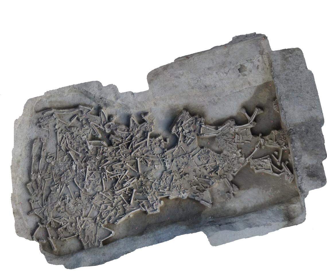 A scan showing the jumbled skeletons.