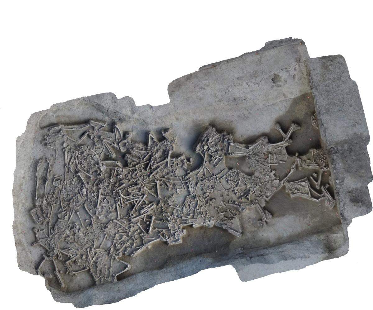A scan showing the jumbled skeletons.