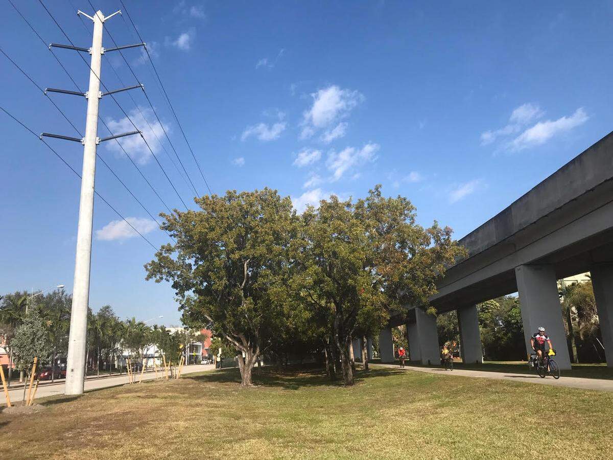 FPL transmission lines abut the U.S. 1 corridor and the Metrorail bike path.