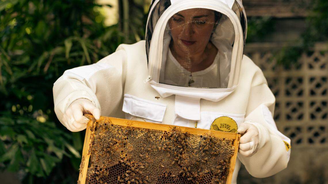 Mihaela Gutman tends to her bees in her South Beach backyard. She has started a line of creamed honey products, infused with different flavors, sold under Sunny Honey Miami.
