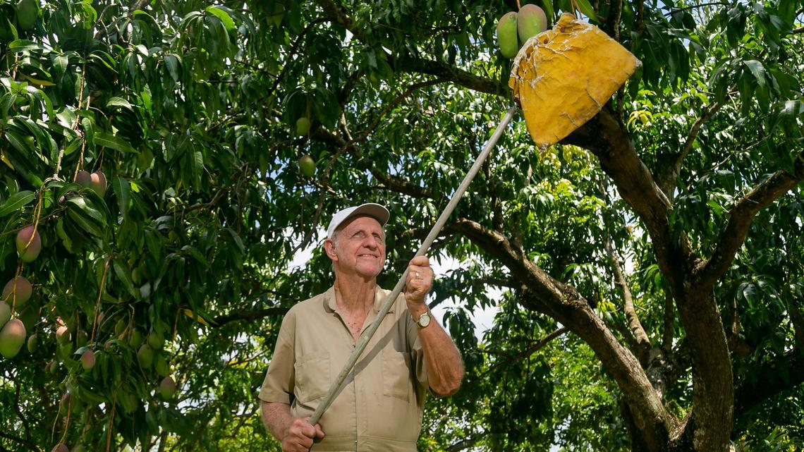 In Redland, a tug-of-war between residents and developers marks Miami’s ‘tropical countryside’
