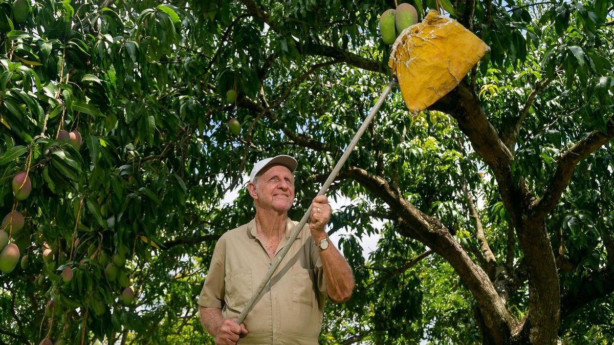 In Redland, a tug-of-war between residents and developers marks Miami’s ‘tropical countryside’