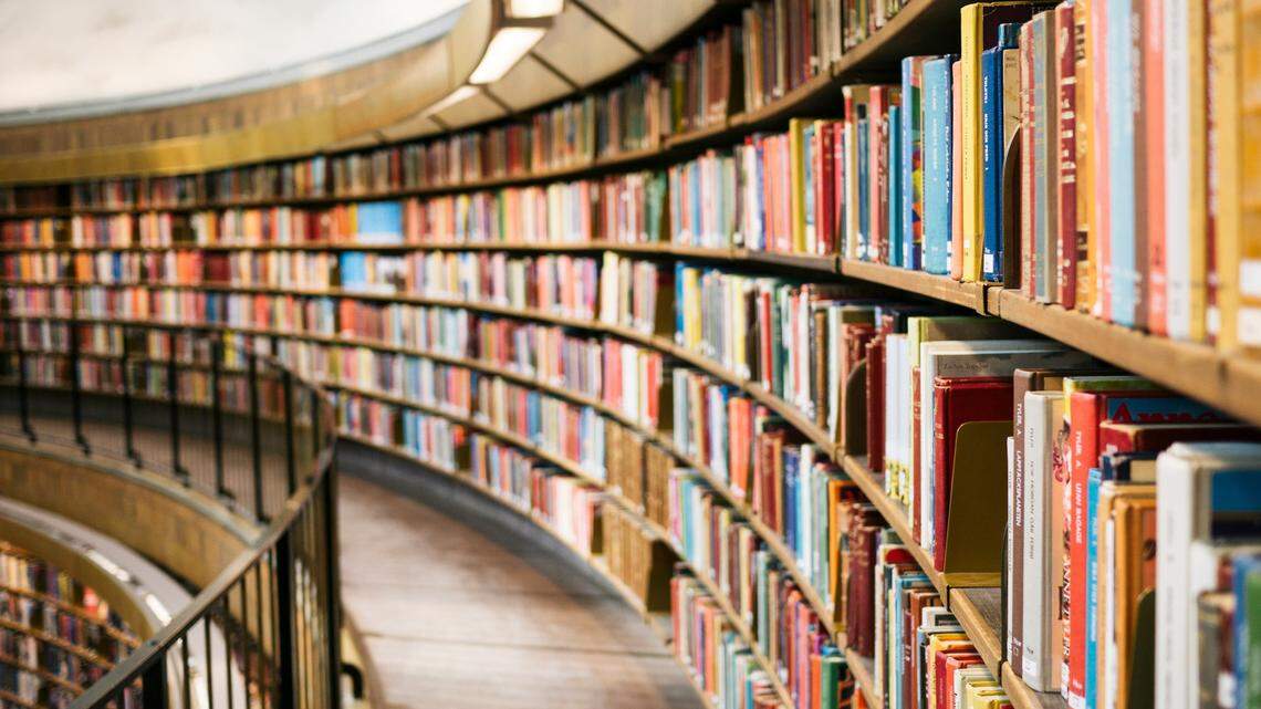 A 7-year-old student will not be protected from testifying in a federal case over a Florida school district’s book bans, a judge has ruled.
