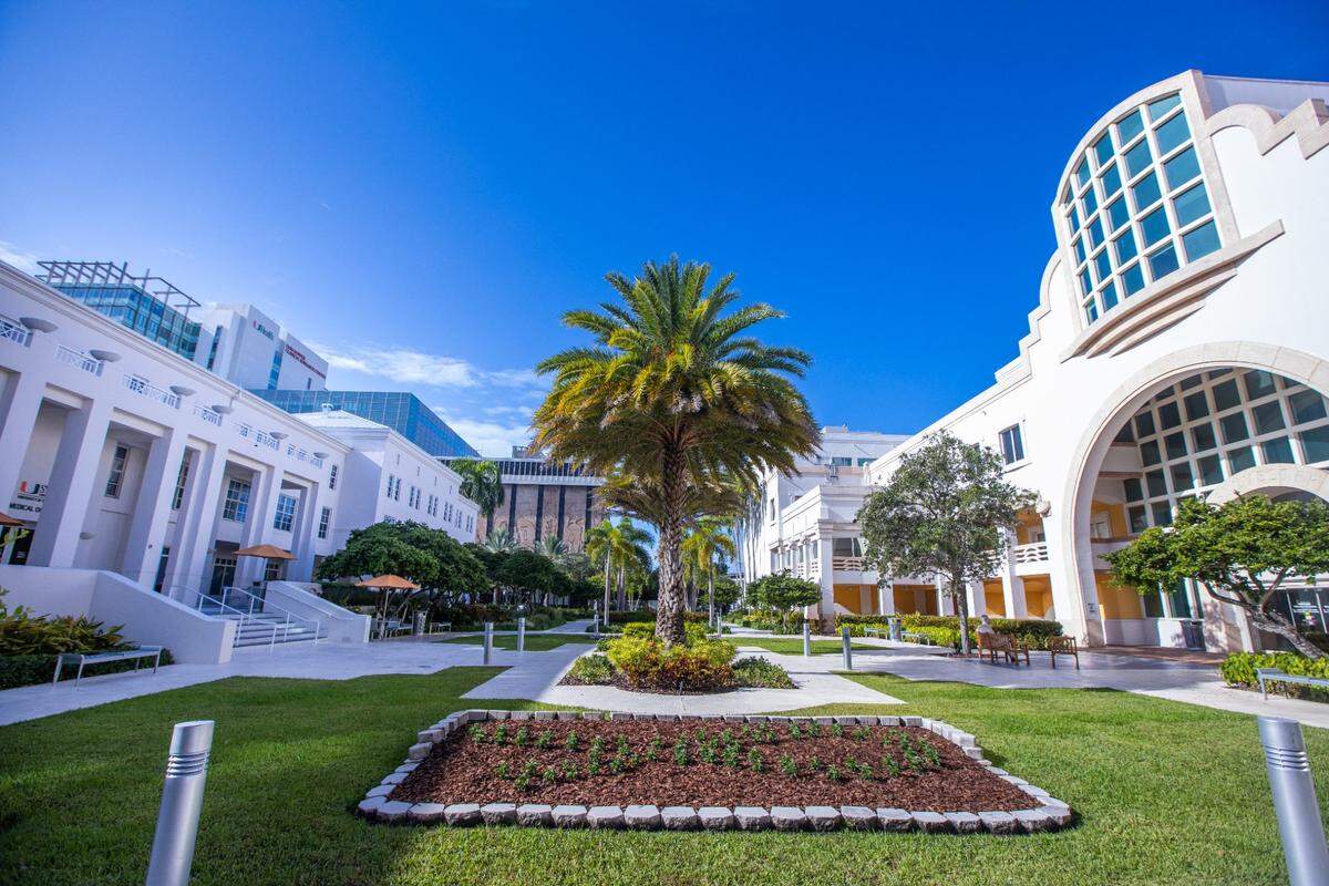 The University of Miami’s Sylvester Comprehensive Cancer Center is South Florida’s only National Cancer Institute-designated facility, a distinction that brings the institution federal resources for research and care.