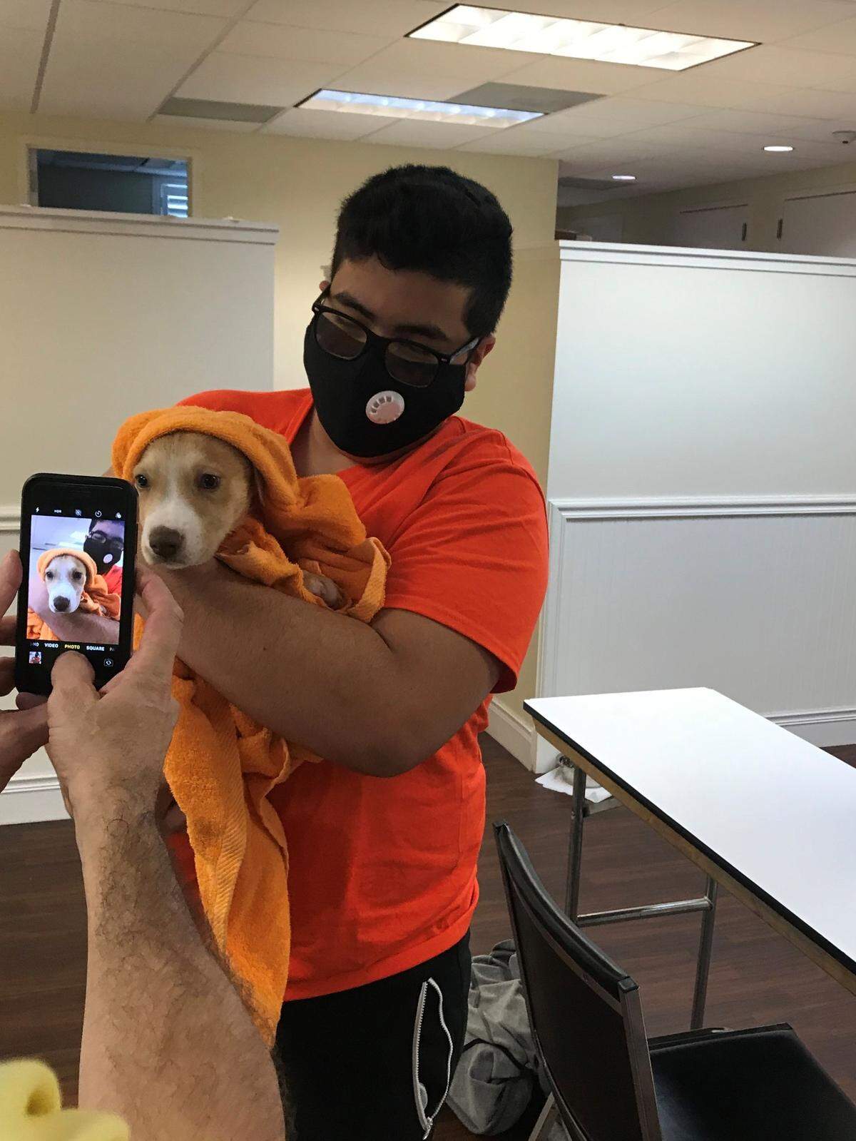 Adrian DeLeon dries off a dog after bath time at the Humane Society of Broward County.