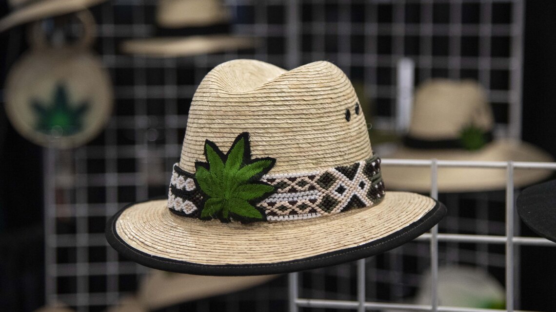 Growing hemp is a new option for struggling Florida farmers. Licenses go online soon.