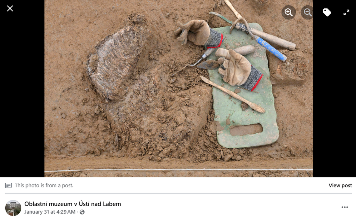 Excavations in Czechia revealed a prehistoric mammoth hunting camp, complete with mammoth skeletons.