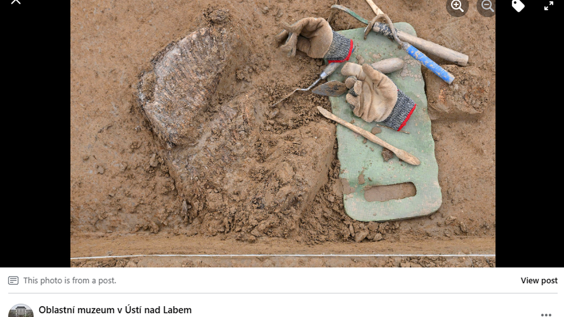 Excavations in Czechia revealed a prehistoric mammoth hunting camp, complete with mammoth skeletons.