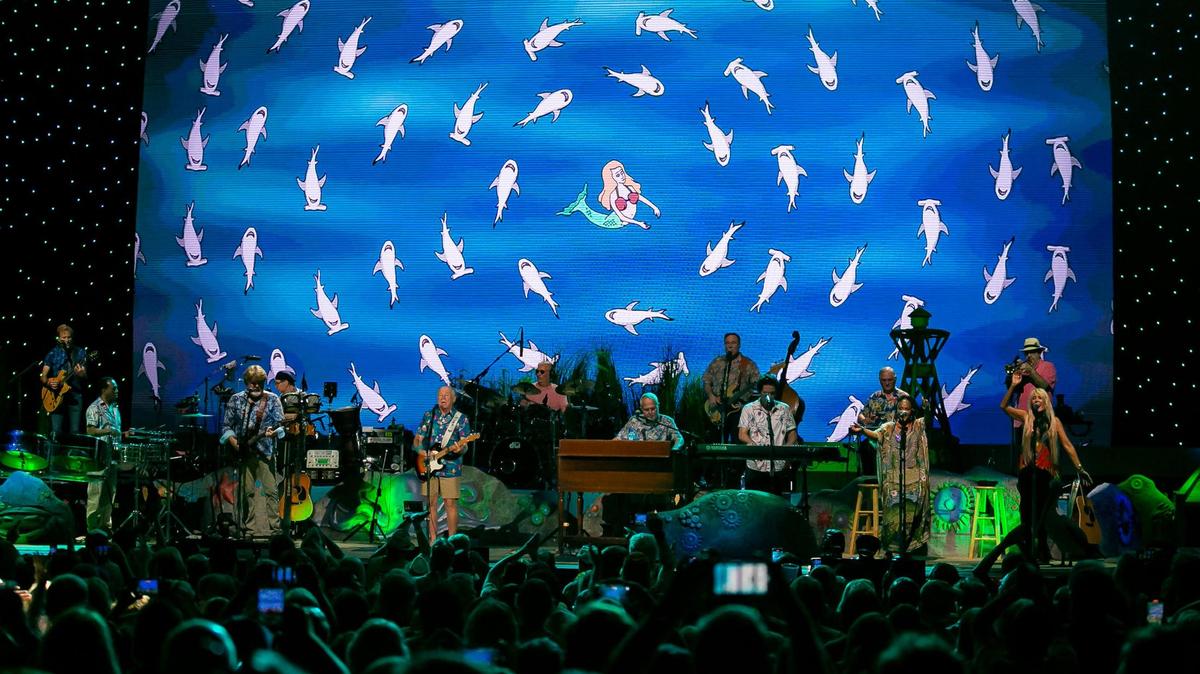 Why was a Florida sea creature named for singer Jimmy Buffett? Researchers have a reason