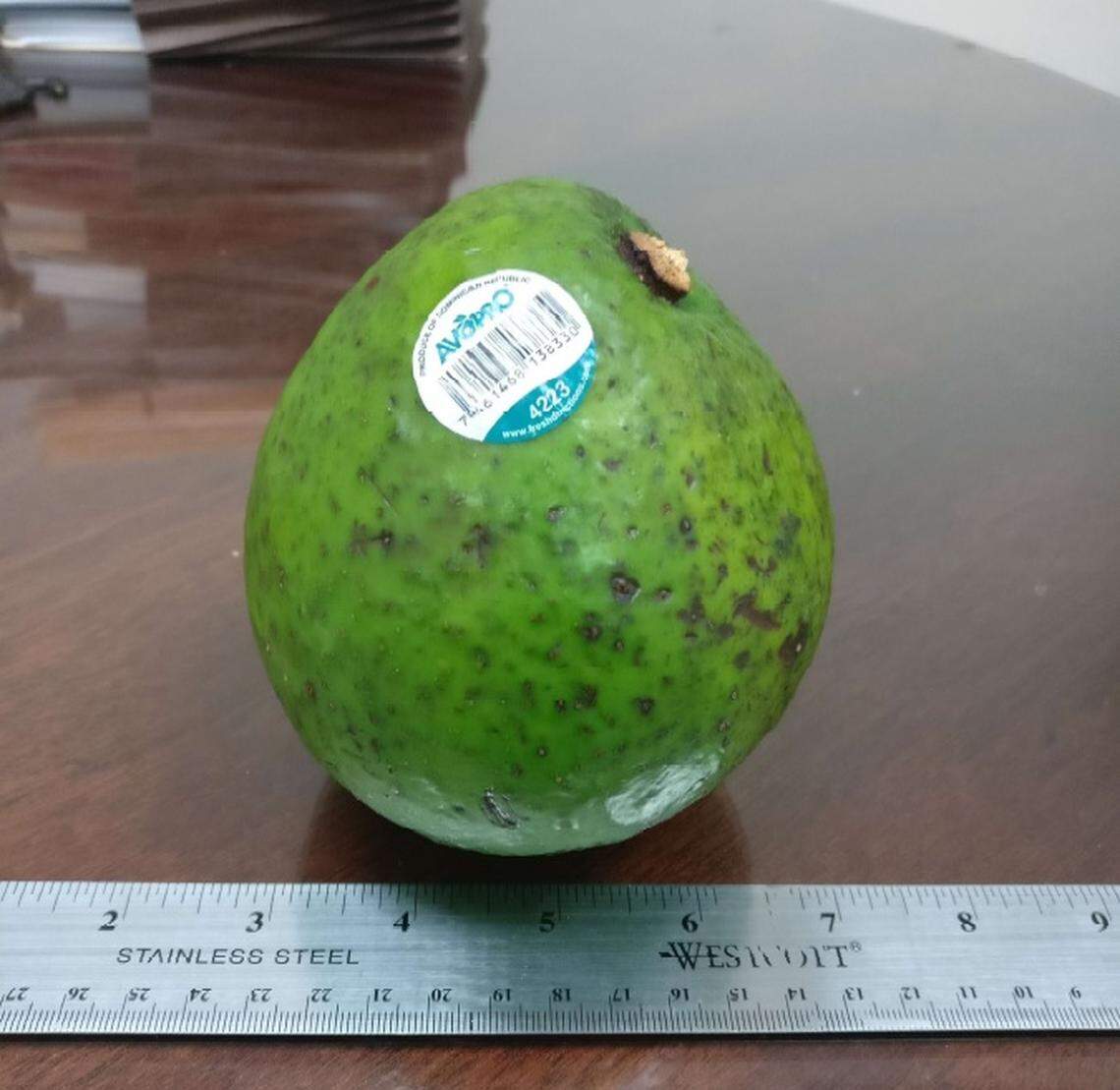 An unlicensed Carla avocado found in a Miami supermarket. The avocado species’ originator is suing a South Florida company alleging patent infringement.