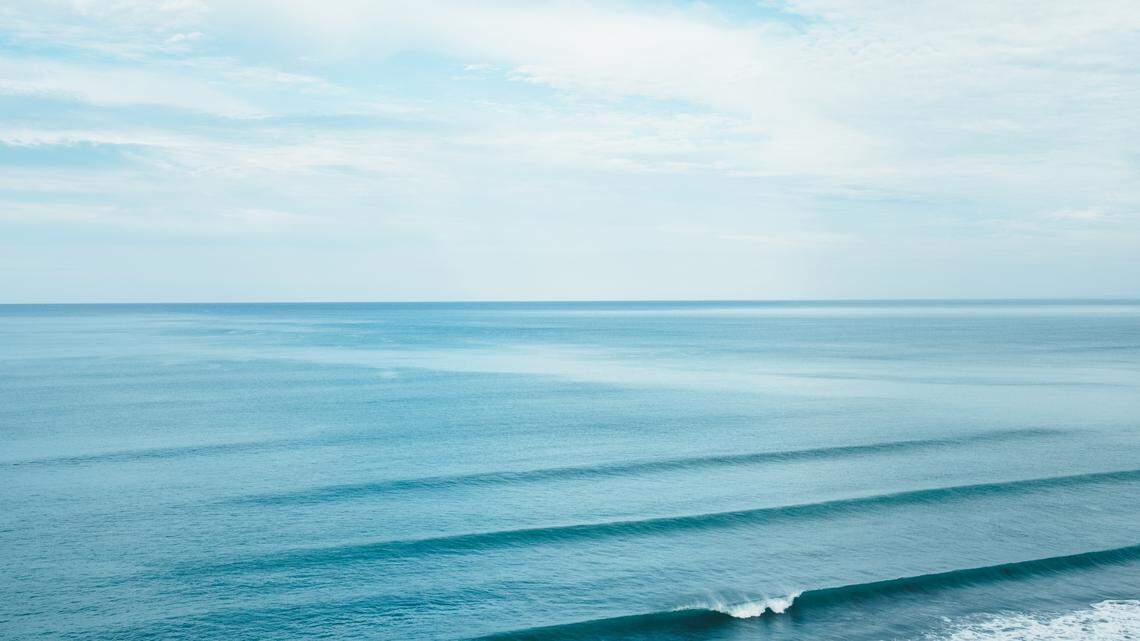 Whale watchers spotted humpback whales enjoying seaweed facials in Australia, according to a Facebook post.