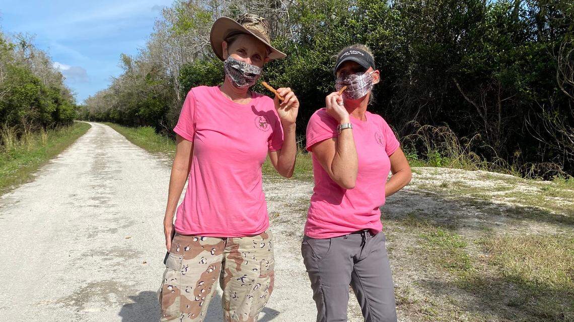 Python hunters Donna Kalil and Amy Siewe eat cookies made with python eggs suring a recent hunt in the Everglades.