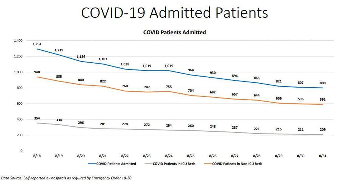 Miami-Dade’s New Normal Dashboard’s hospitalization chart