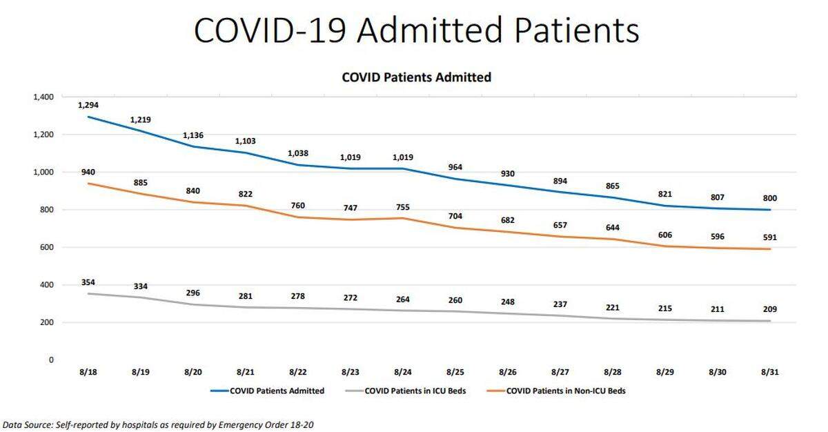 Miami-Dade’s New Normal Dashboard’s hospitalization chart