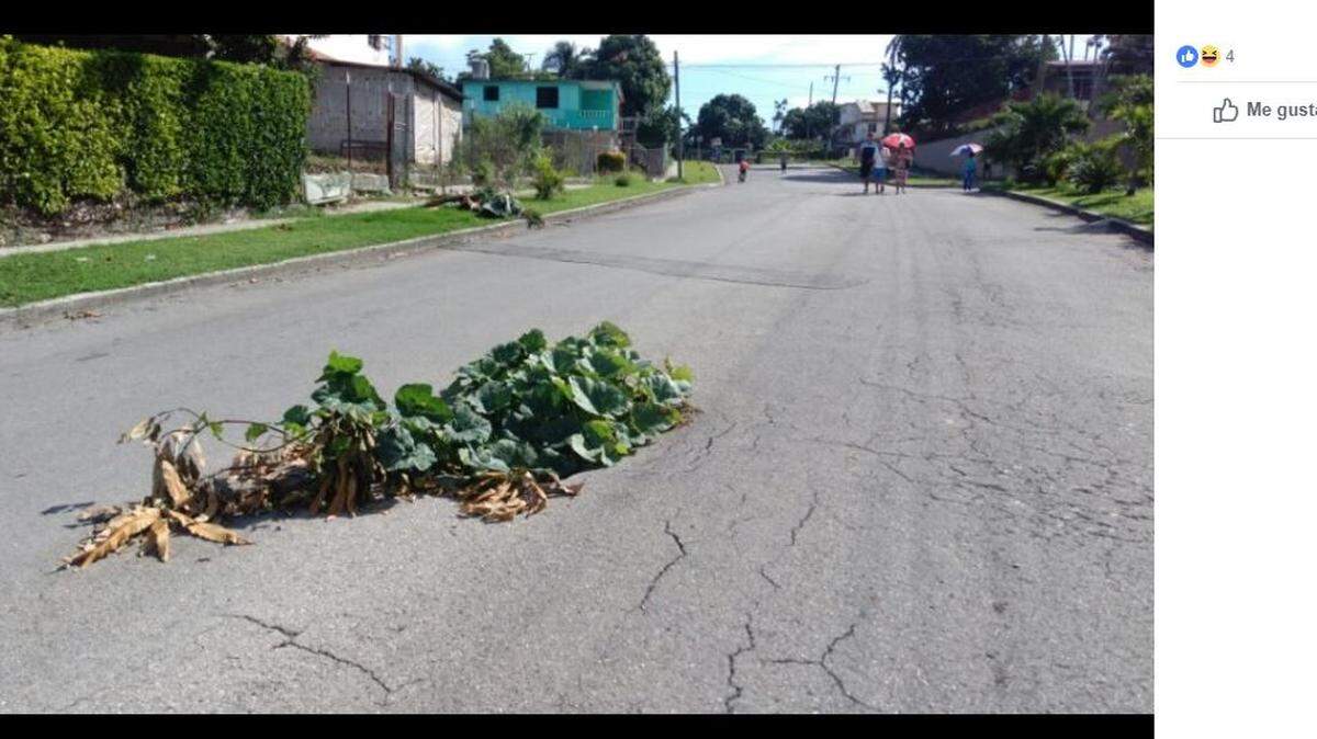 Residents of a Havana neighborhood decided to plant a pumpkin in a pothole, since the government wasn’t fixing it.