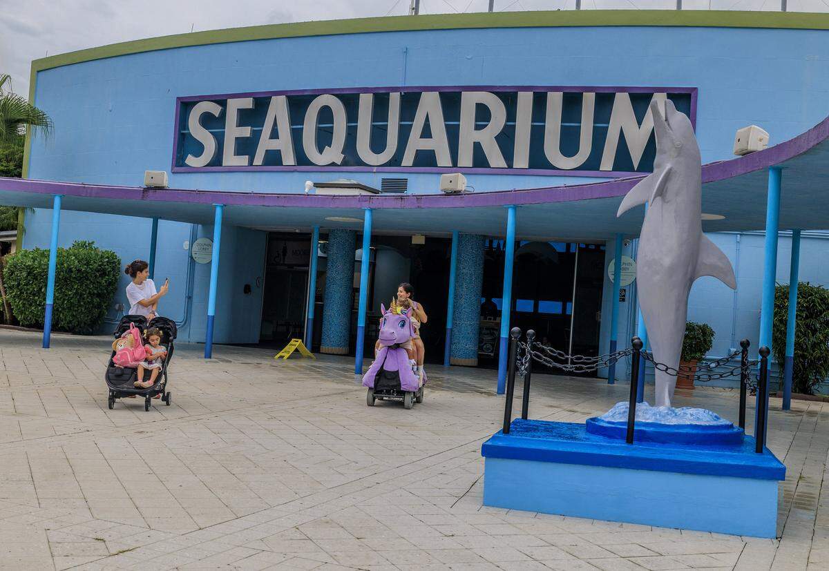 Visitors seen at the Miami Seaquarium, in Virginia Key, that will be closing on Sunday October 12, after 70 years in business, almost a year after the seaquarium filed for bankruptcy and is planning to sell the lease on its public waterfront property for $22.5 million to developer David Martin and a subsidiary of his development company, Terra, on Friday October, 10 2025.