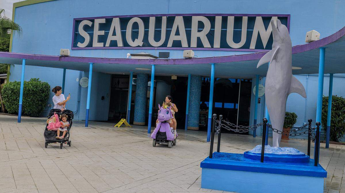 Visitors seen at the Miami Seaquarium, in Virginia Key, that will be closing on Sunday October 12, after 70 years in business, almost a year after the seaquarium filed for bankruptcy and is planning to sell the lease on its public waterfront property for $22.5 million to developer David Martin and a subsidiary of his development company, Terra, on Friday October, 10 2025.