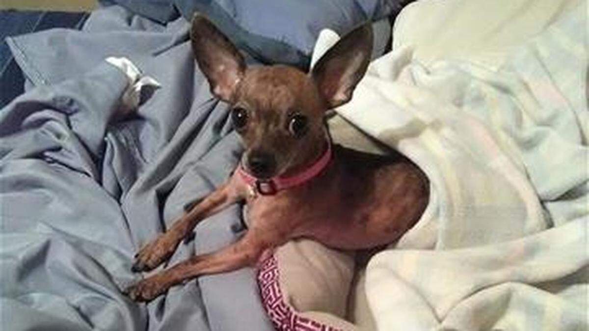 Diamond gets medical care