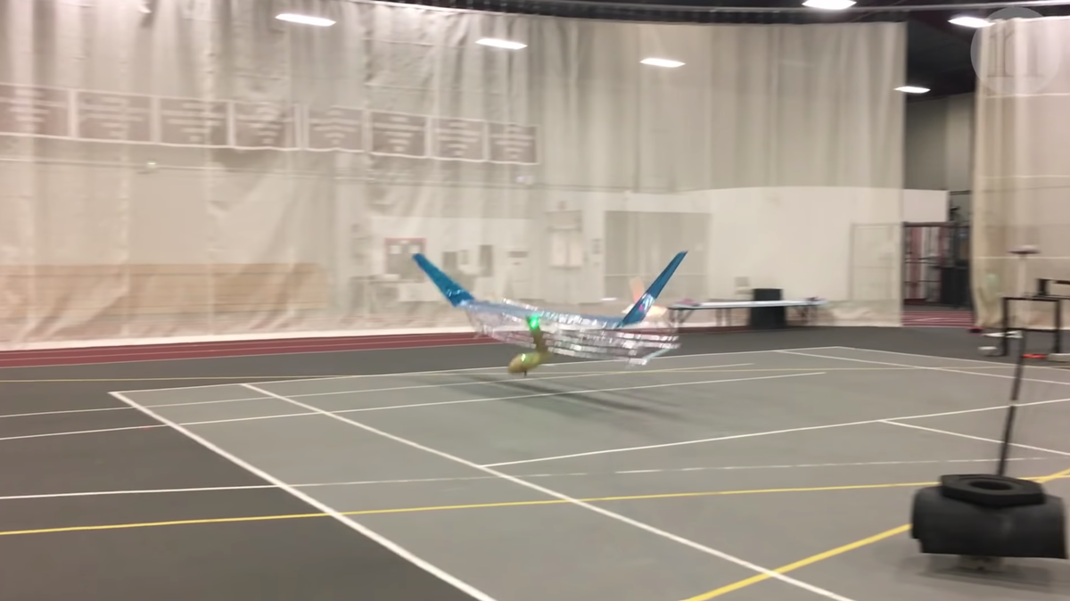 Researchers at Massachusetts Institute of Technology had a small plane fly with no moving parts for the first time ever, according to a study in the journal Nature. Instead, it uses “ionic wind” to fly around.