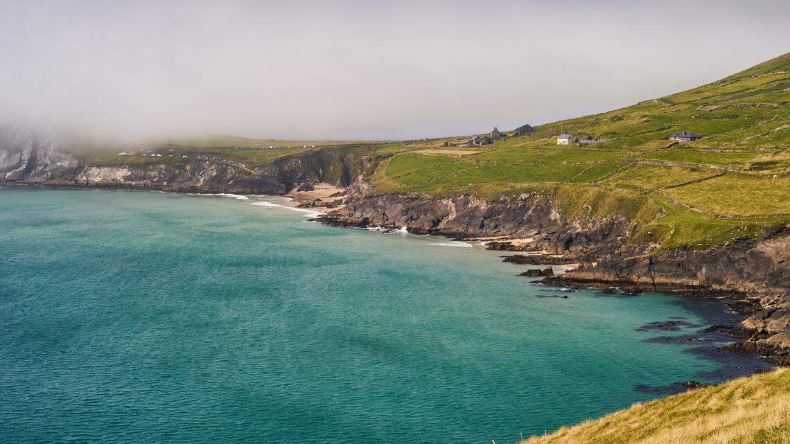 The tour company said it’s only the second time it has seen orcas in the bay in the past eight years.