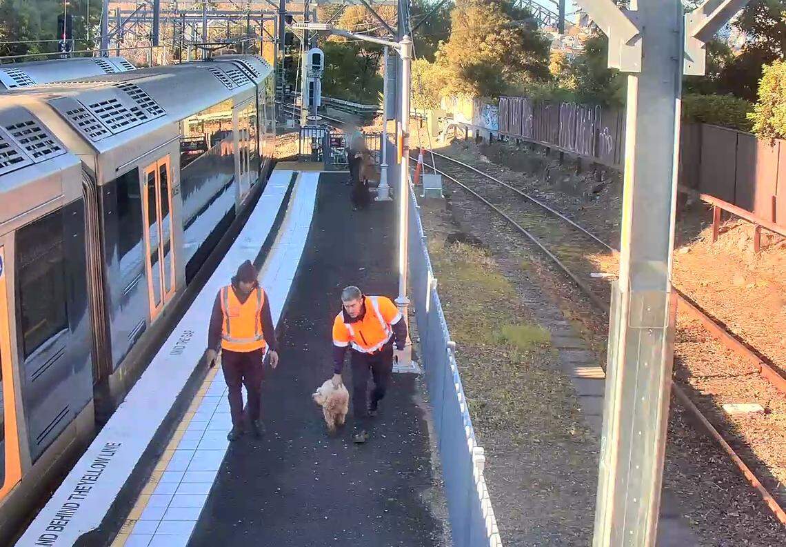 Officials rescued the dog, Heidi, from the train tracks.