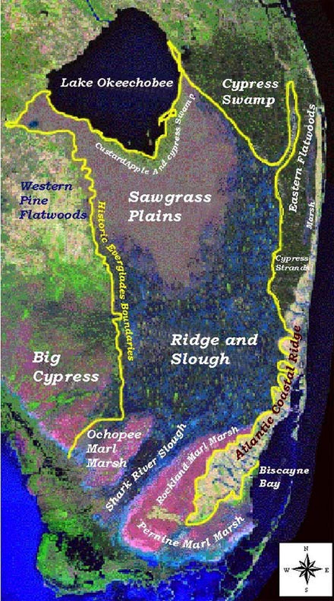 Before human intervention, the Everglades covered most of South Florida. Source: U.S. Geological Survey