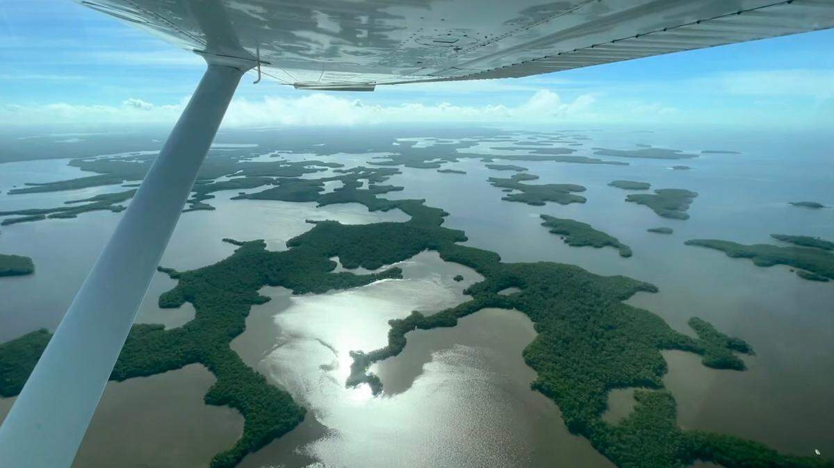Un estudio aéreo de los Everglades tras el huracán Ian reveló que los manglares de la zona de Ten Thousand Islands estaban prácticamente intactos.