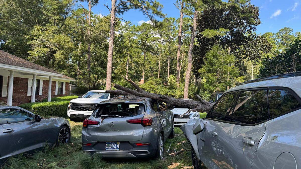 A pine tree fell on two cars and damaged another that were parked outside a residence near San Luis Mission Park, some of the worst damage caused by Hurricane Helene in Tallahassee.