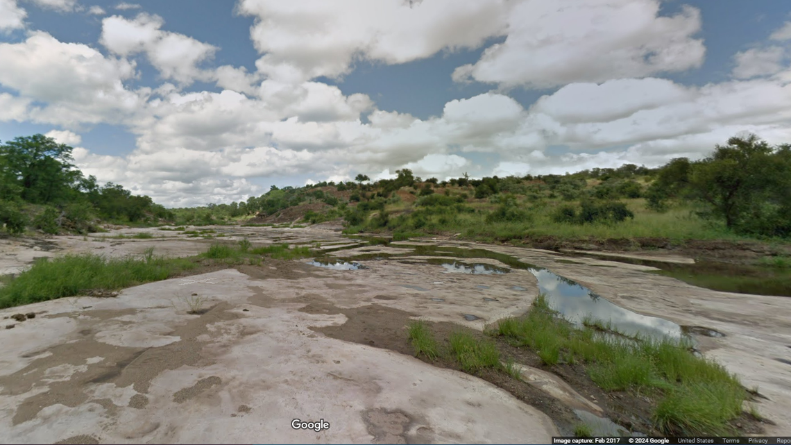 An “extremely rare” pink elephant was spotted at a park in South Africa, according to a safari operator’s Facebook post.