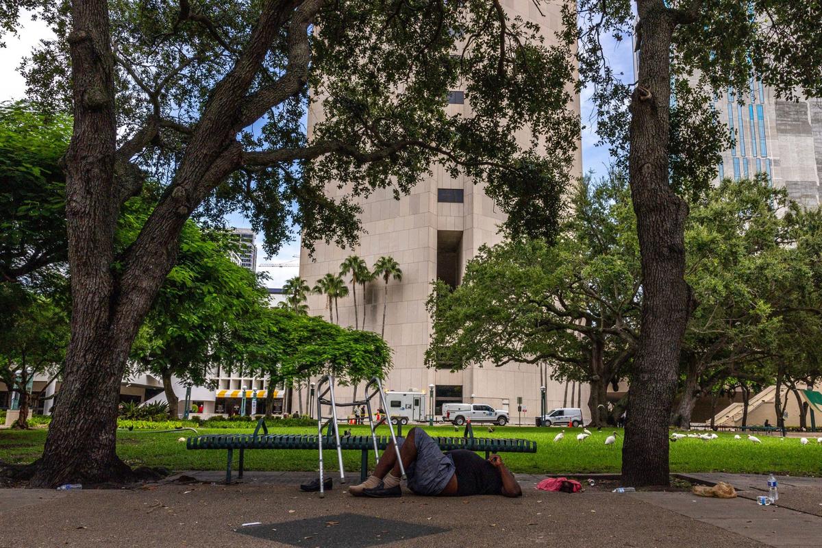 A man sleeps beneath some trees near the West Grounds by the Stephen P. Clark Government Center on Thursday, Sept. 12, 2024, in Miami.