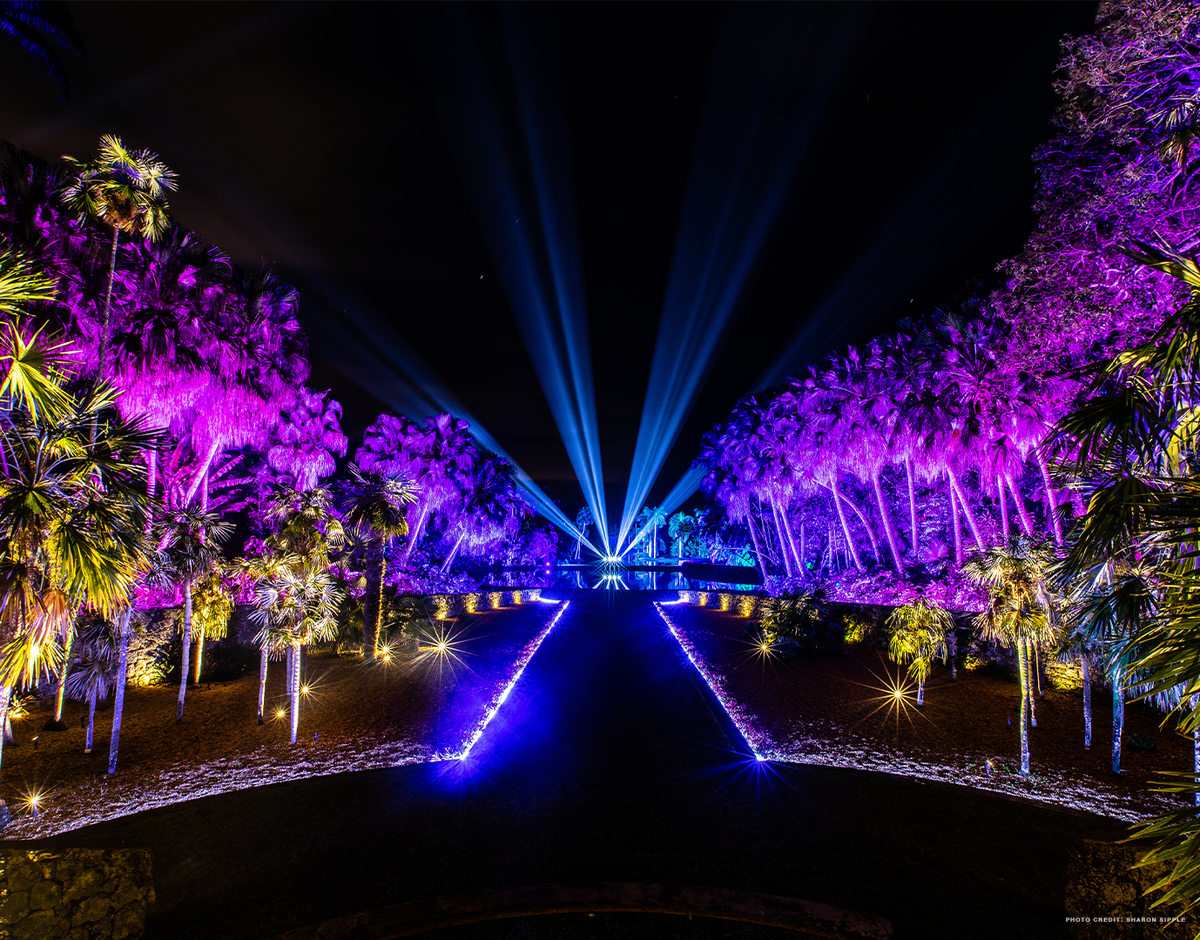 The trees glow at NightGarden at Fairchild.