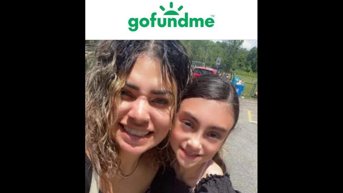 The GoFundMe page created on behalf Charlene Cabrera over Arya’s death.