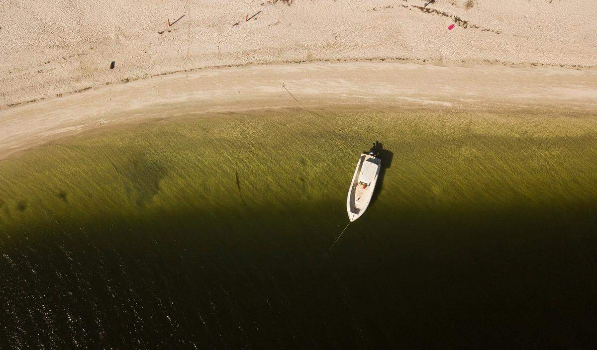 An aerial view of a portion of the east side of Beer Can Island off the coast of Apollo Beach, between Apollo Beach and MacDill Air Force Base, on Wednesday, Jan. 27, 2021. Beer Can Island is shrinking from erosion and it was swamped by Hurricane Idalia.