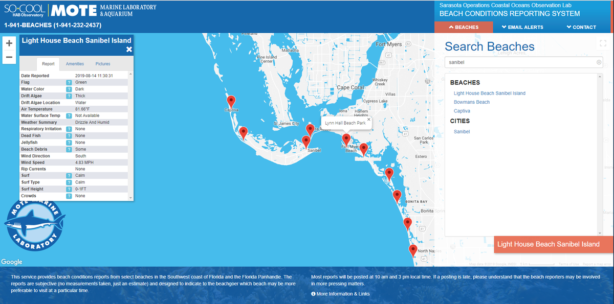 The Mote Marine Laboratory recorded Lighthouse Beach to be “dark,” which means it has thick or murky water.