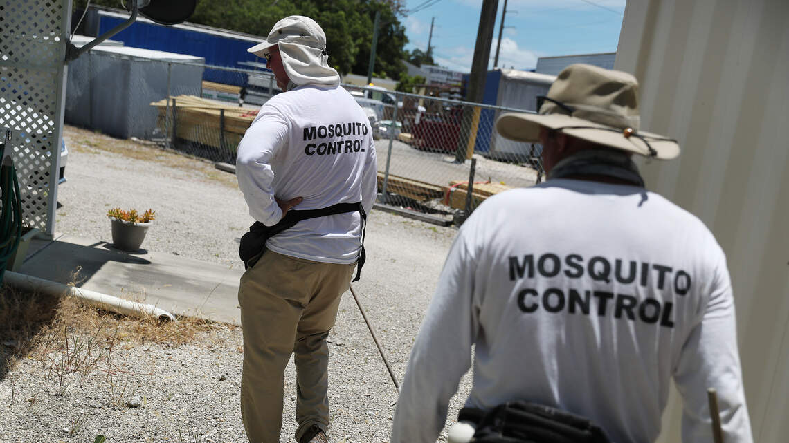 Case of locally acquired dengue fever confirmed in Broward County