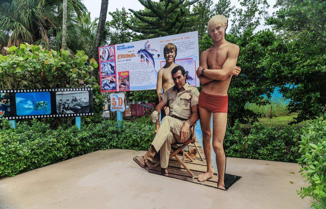 View of an image of the Flipper tv show's actors by the entrance to the Dolphin Harbor where the show was filmed at the Miami Seaquarium, in Virginia Key, that will be closing on Sunday October 12, after 70 years in business, almost a year after the seaquarium filed for bankruptcy and is planning to sell the lease on its public waterfront property for $22.5 million to developer David Martin and a subsidiary of his development company, Terra, on Friday October, 10 2025.