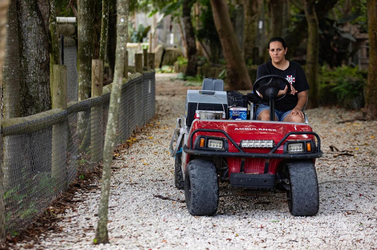 Frassica-Rivera drives a golf cart through the outpost to the next enclosure on vaccination day, Aug. 13, 2023. “We could do so much more for animals and do so many more rescues if we had the proper funding and sometimes it’s like you’re hitting a wall,” she said.