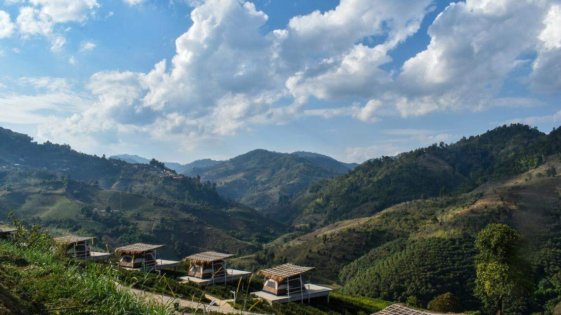 In the northern mountainous region of Thailand, a new species stays hidden in the green until it opens its wings.
