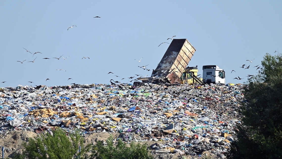 Is your empty detergent jug actually getting recycled, or is it still headed straight for the landfill?