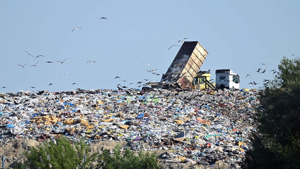 Wird Ihr leerer Waschmittelbehälter tatsächlich recycelt oder landet er ...