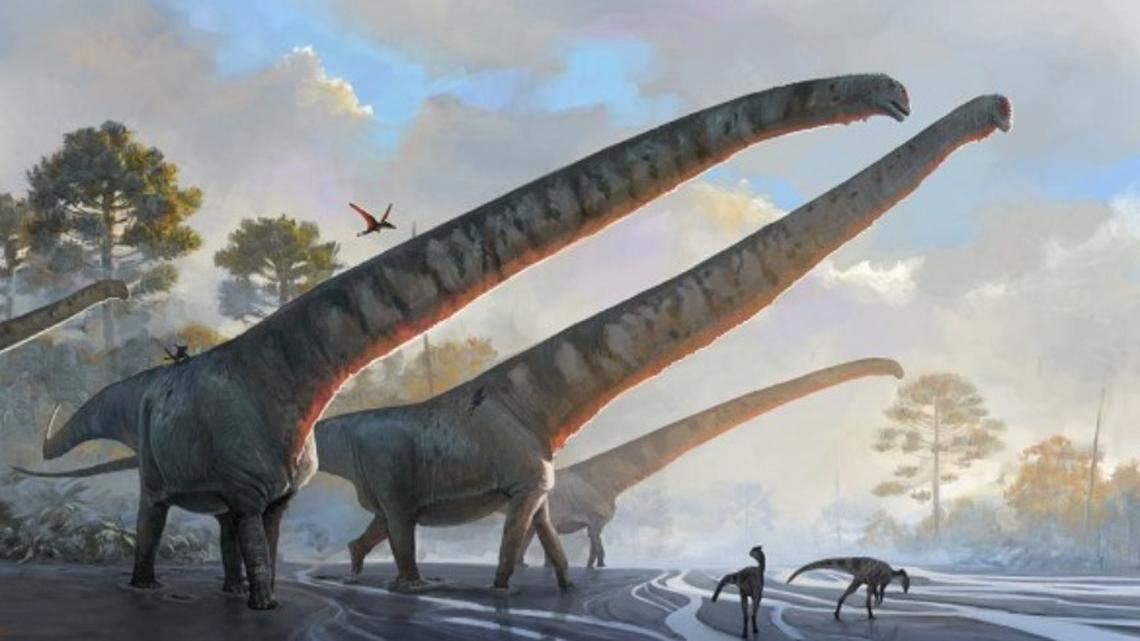 New research shows a Jurassic Era dinosaur probably had a record-breaking 49-foot-long neck, experts say.