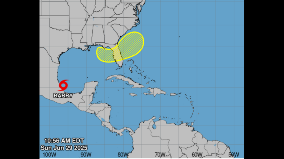 Tropical Storm Barry in the western Gulf of Mexico and the tropical disturbance in the north Florida and Georgia areas.