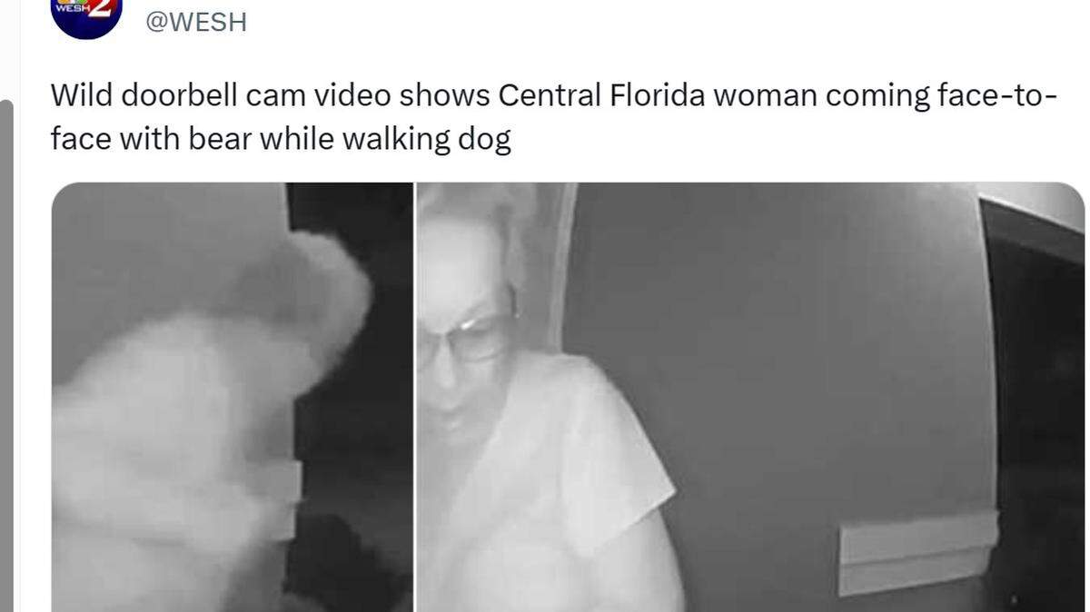 A bear was caught on Ring camera outside a Florida woman’s home in Delray Beach/WESH 2 News Twitter