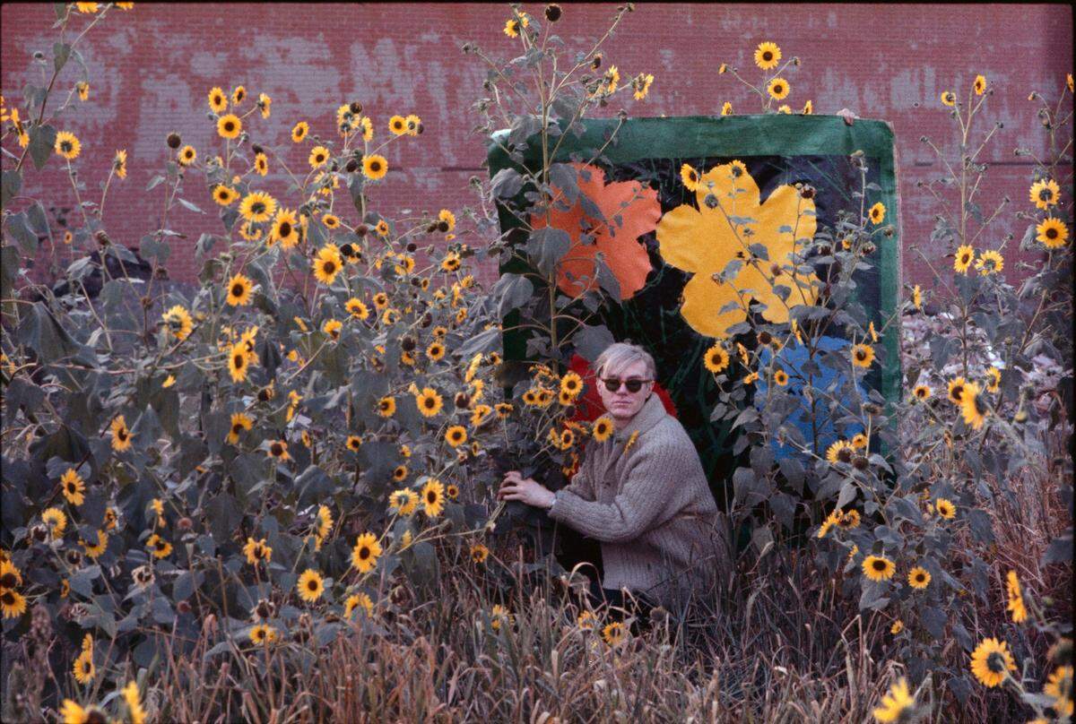 Warhol Flowers Xlll" de William John Kennedy. La fotografía de 1964 es de Andy Warhol en un campo de Black-Eyed Susans sosteniendo un primer lienzo de "Flowers" que sirvió de telón de fondo en Queens, Nueva York. 1964