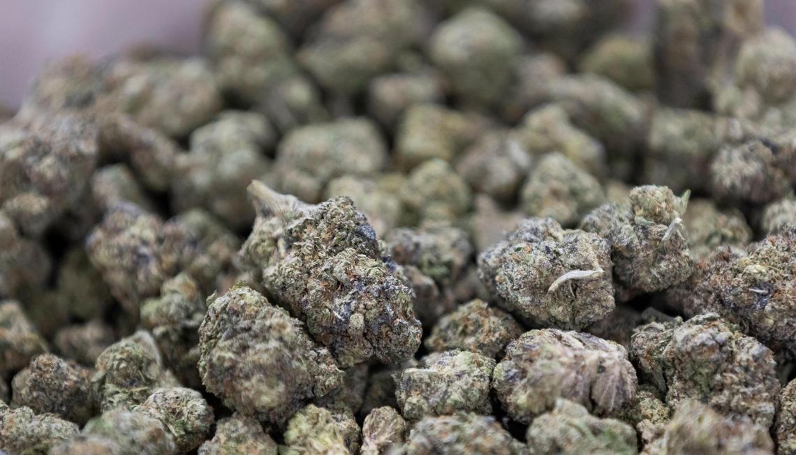 THCa created by Havana Hemp is on display during the CHAMPS Trade Show at the Broward County Convention Center on Thursday, Oct. 17, 2024, in Fort Lauderdale, Fla.