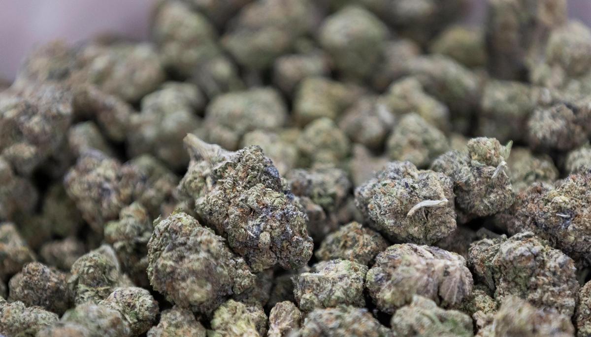 THCa created by Havana Hemp is on display during the CHAMPS Trade Show at the Broward County Convention Center on Thursday, Oct. 17, 2024, in Fort Lauderdale, Fla.