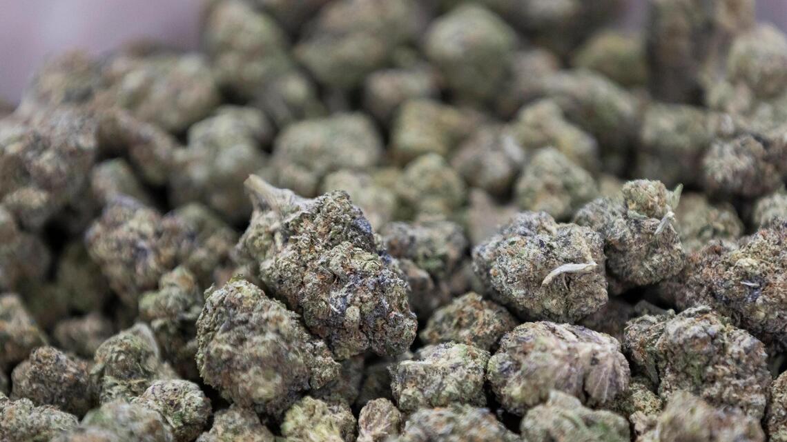 High potency and pesticides: Marijuana is being sold over the counter in Florida as hemp
