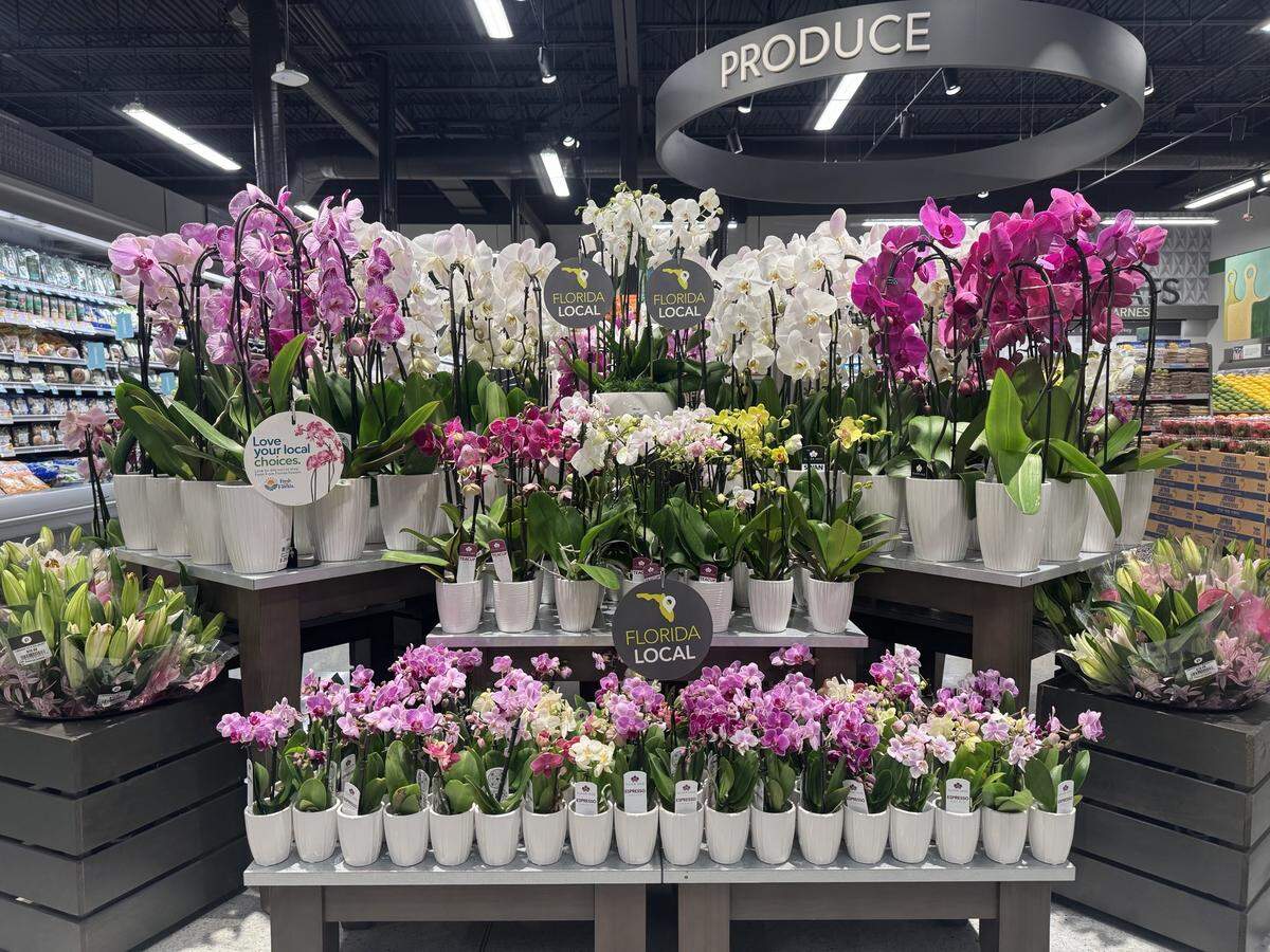 The produce department at the new Briar Bay Publix in the Kendall area of Miami includes a floral section that stocks bouquets that mark the changing seasons with different colors. The new Publix opened on Feb. 27, 2025.